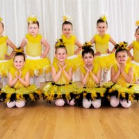 22 Sunshine Birds